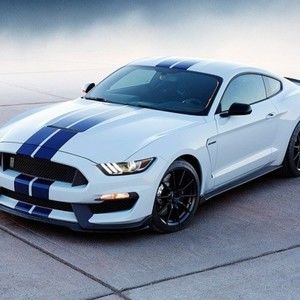 Meet your Posher, Farrah